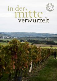 in der mitte verwurzelt – Rotweingut Kerschbaum