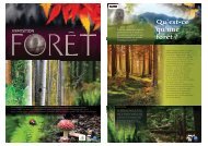 Exposition foret panneaux