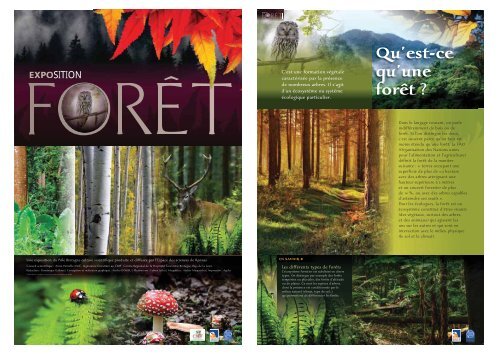 Exposition foret panneaux