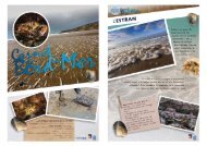 carnet-BM-version complete