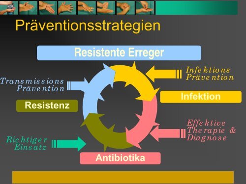 ESBL Kontrollstrategien