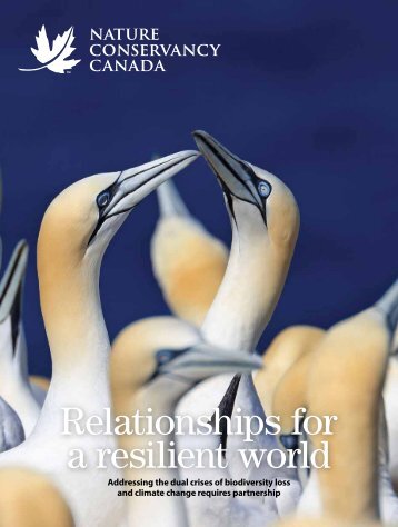NCC Magazine: Fall 2024