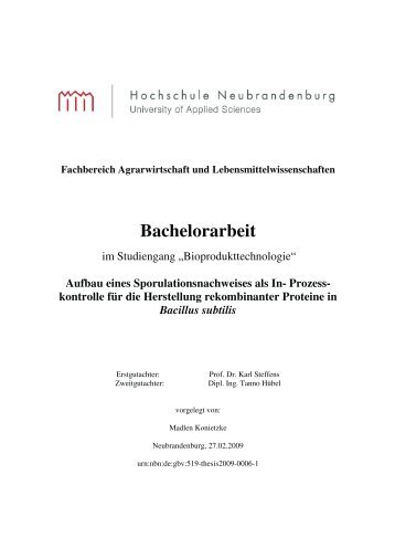 Bachelorarbeit