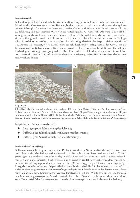 Ökologische Aspekte der Gewässerentwicklung - HYDRA-Institute