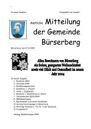 Amtliche Mitteilung der Gemeinde Bürserberg