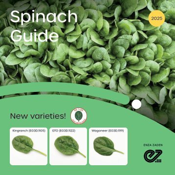 Spinach guide US 2025