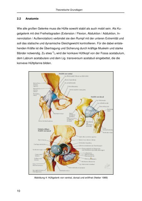 Aspekte der sporttherapeutischen Intervention bei Patienten ... - KOPS