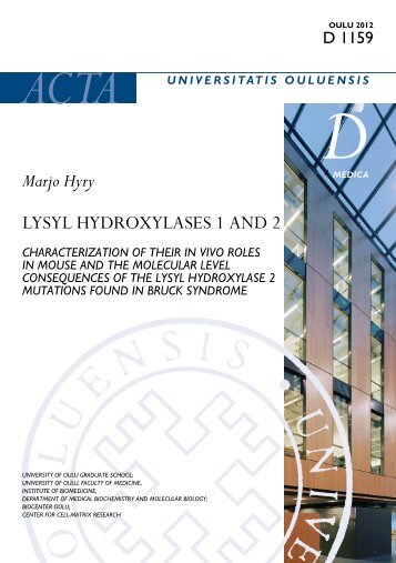 Lysyl hydroxylases 1 and 2 : Characterization of their in vivo ... - Oulun
