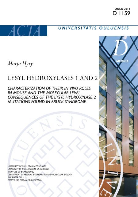 Lysyl hydroxylases 1 and 2 : Characterization of their in vivo ... - Oulun