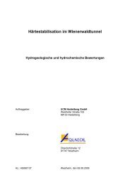 Härtestabilisation im Wienerwaldtunnel - UCM Heidelberg GmbH