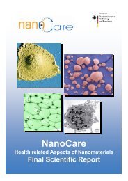 NanoCare Health related Aspects of Nanomaterials Final Scientific