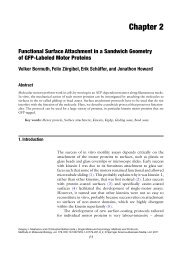 Functional Surface Attachment in a Sandwich Geometry of - MPI-CBG