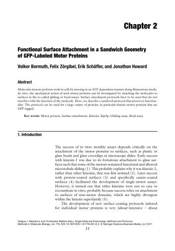 Functional Surface Attachment in a Sandwich Geometry of - MPI-CBG