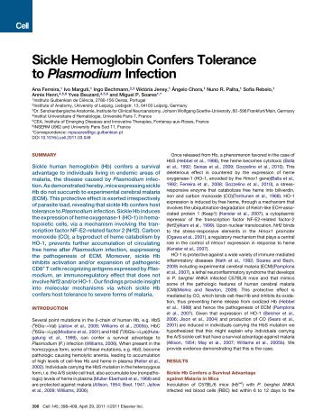 Sickle Hemoglobin Confers Tolerance to Plasmodium Infection