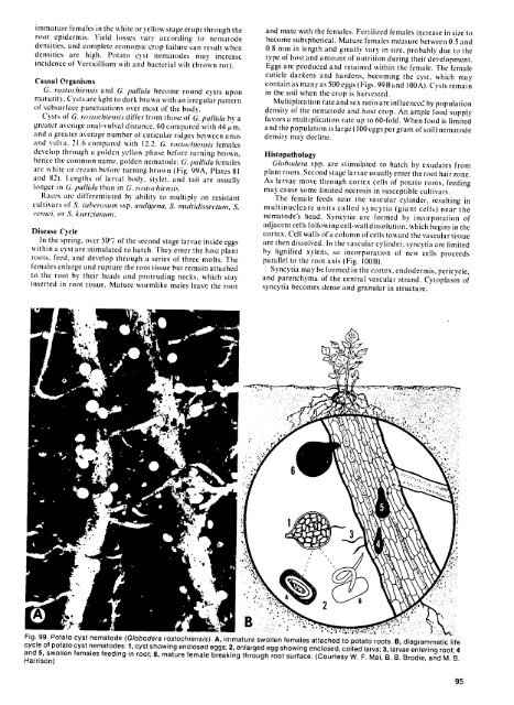 Compendium of Potato Diseases - (PDF, 101 mb) - USAID