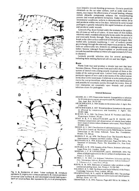 Compendium of Potato Diseases - (PDF, 101 mb) - USAID