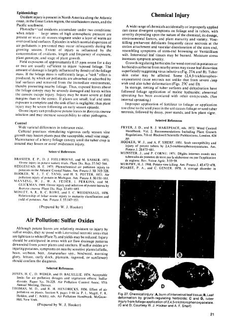 Compendium of Potato Diseases - (PDF, 101 mb) - USAID