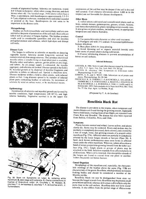 Compendium of Potato Diseases - (PDF, 101 mb) - USAID