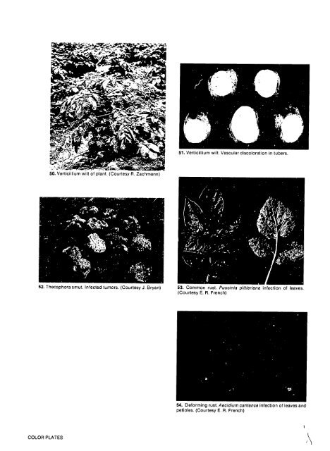 Compendium of Potato Diseases - (PDF, 101 mb) - USAID