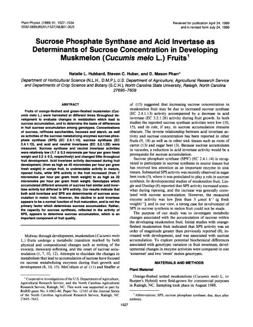 Sucrose Phosphate Synthase and Acid Invertase ... - Plant Physiology