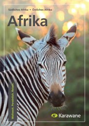 Afrika-Magazin-Karawane