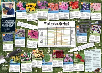 What to plant (& when) - B&Q