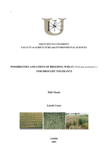 Thesis on drought tolerance in rice