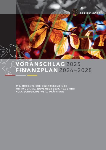Voranschlag 2025