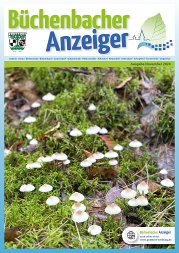November 2024 - Büchenbacher Anzeiger