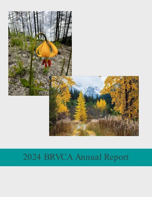BRVCA Annual Report 2024 FINAL