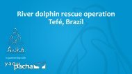 Full report of the river dolphin rescue operation in Tefé, Brazil | October 31st, 2023