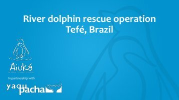 Full report of the river dolphin rescue operation in Tefé, Brazil | October 31st, 2023
