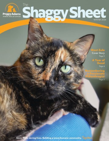 Shaggy Sheet Winter 2024