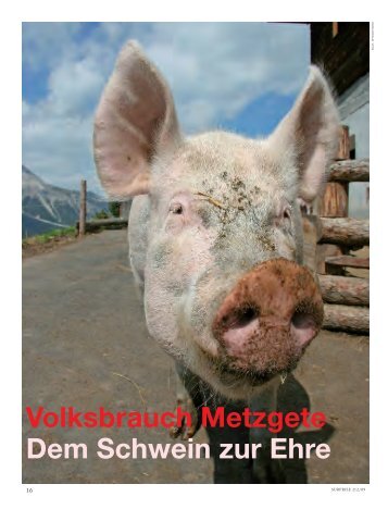 Volksbrauch Metzgete Dem Schwein zur Ehre - Fred Lauener