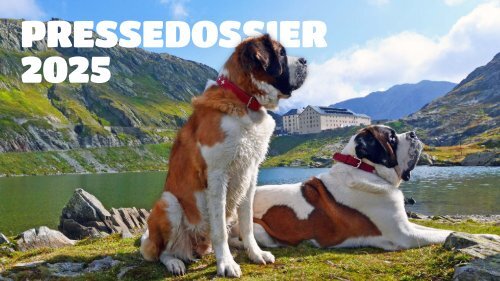dossier-de-presse-de-2025