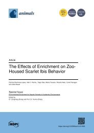 The Effects of Enrichment on Zoo - Housed Scarlet Ibis Behavior