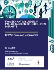 SEPAS_loppuraportti_2024