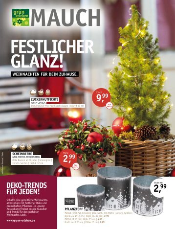 Mauch - Festlicher Glanz