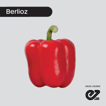Pimiento Rojo Berlioz