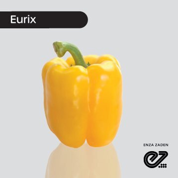 Pimiento Amarillo Eurix 