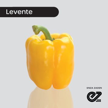 Pimiento Amarillo Levente