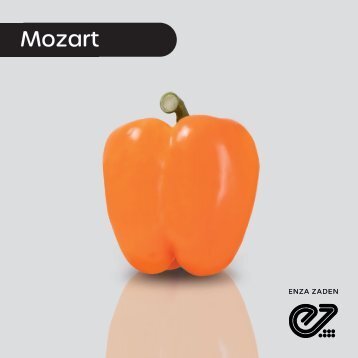Pimiento Naranja Mozart