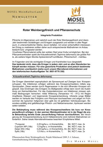 Roter Weinbergpfirsich und Pflanzenschutz - Mosel Weinkulturland