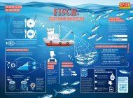 SPICK Poster MSC Fischfang Konsum