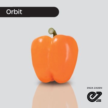 Pimiento Naranja Orbit
