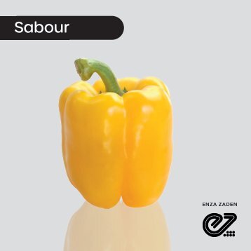 Pimiento Amarillo Sabour