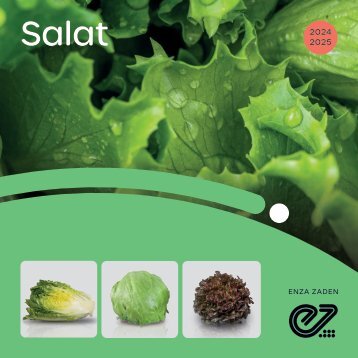Salatbroschüre 2024 | 2025 