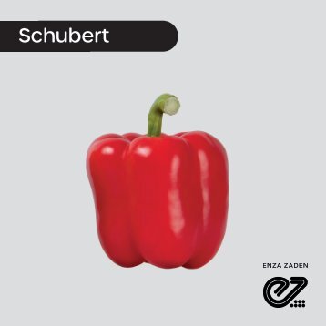 Pimiento Rojo Schubert