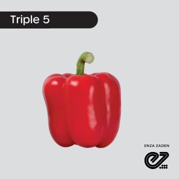 Pimiento Rojo Triple 5
