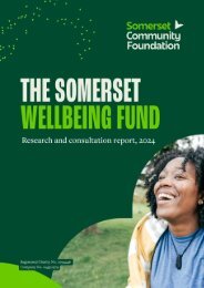 The Somerset Wellbeing Fund: Research and Consultation Report, 2024